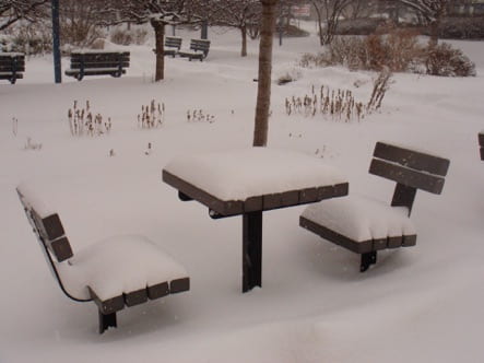 A bench and two chairs covered in snow.