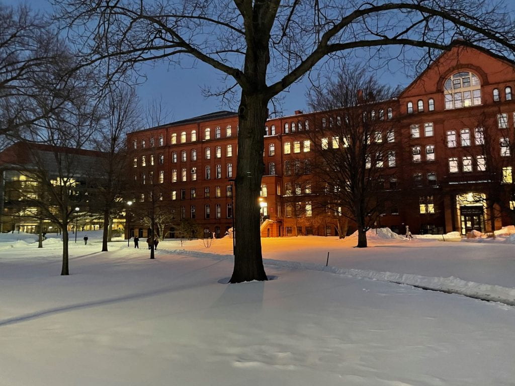 Harvard with snow.